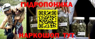 индика Обь